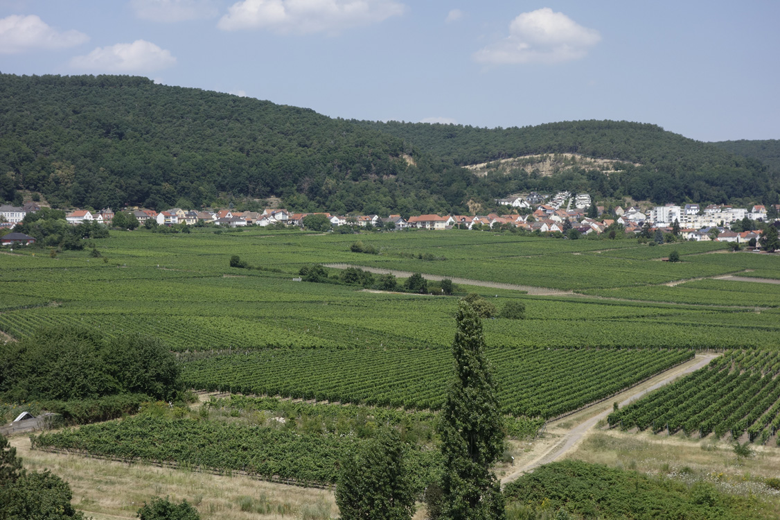 Neustadt_260