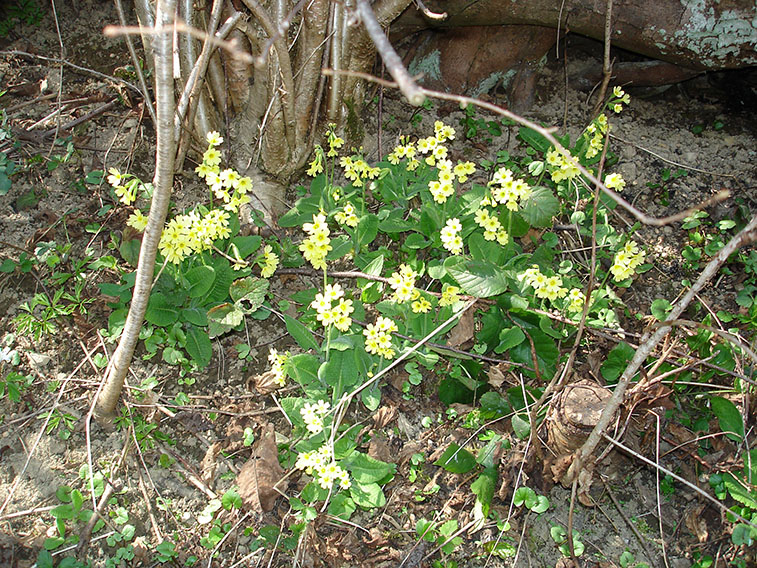 Wiessee_Senioren_2006.29