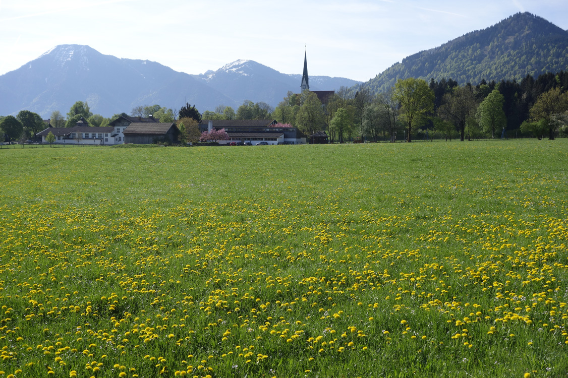 Wiessee_283