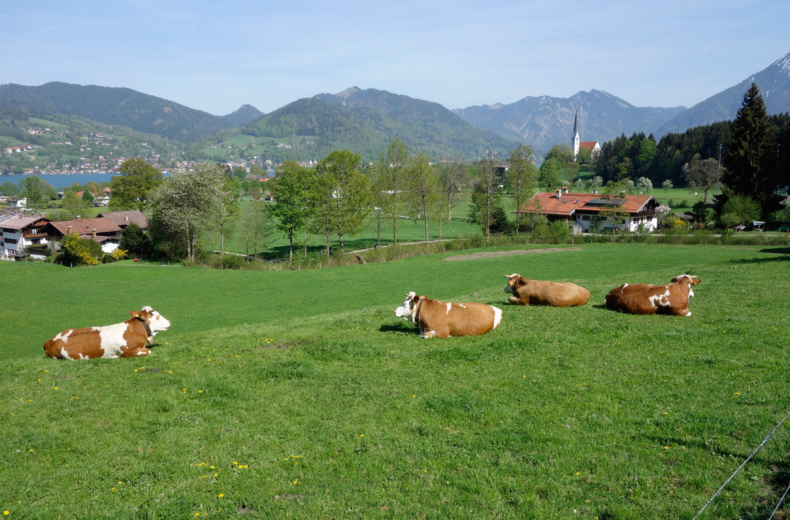 Wiessee_314
