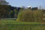 Wiessee_049