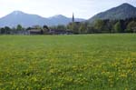 Wiessee_283