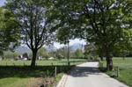 Wiessee_313