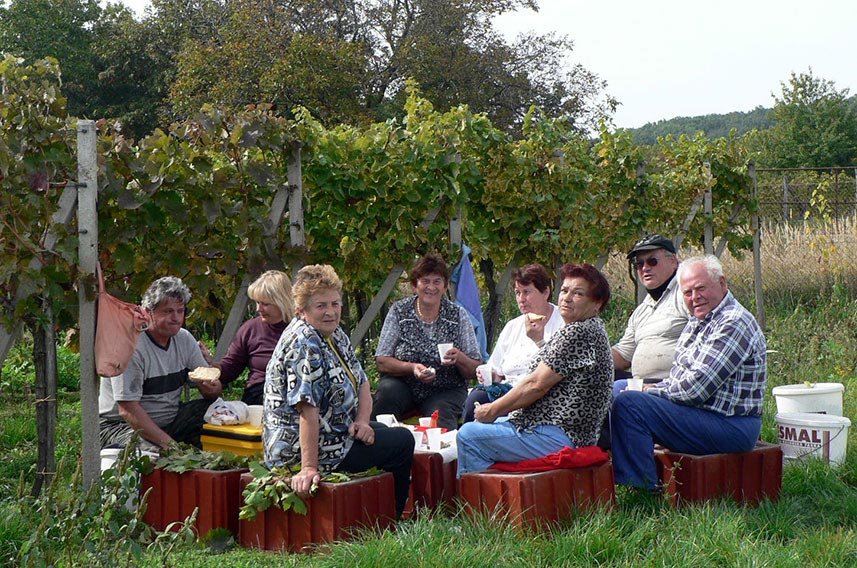 Weinlese_2008.04